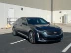 2021 Cadillac CT5 Luxury