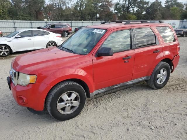 2009 Ford Escape XLT