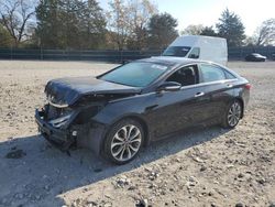 Salvage cars for sale at Madisonville, TN auction: 2013 Hyundai Sonata SE