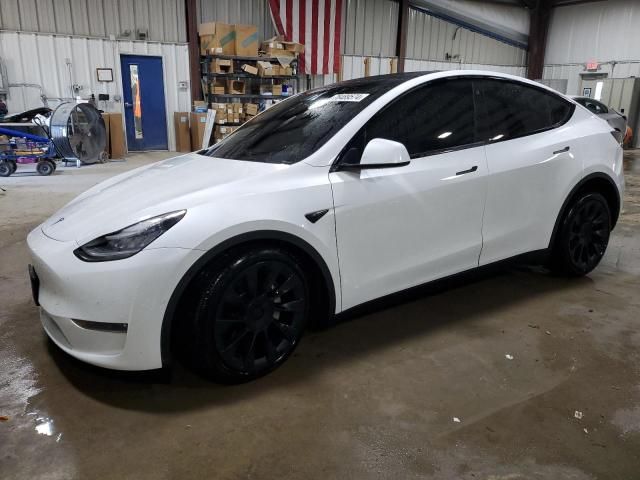 2020 Tesla Model Y