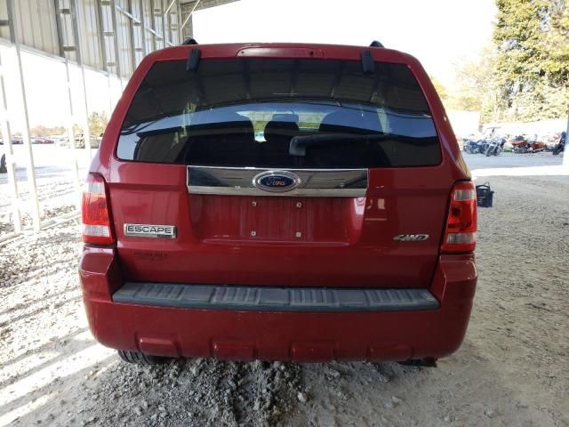 2009 Ford Escape Limited