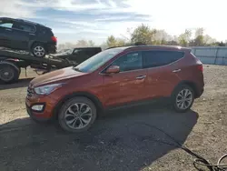 Hyundai salvage cars for sale: 2014 Hyundai Santa FE Sport