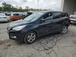 Salvage cars for sale at Fort Wayne, IN auction: 2015 Ford Escape SE