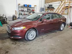 Ford Vehiculos salvage en venta: 2015 Ford Fusion SE Hybrid