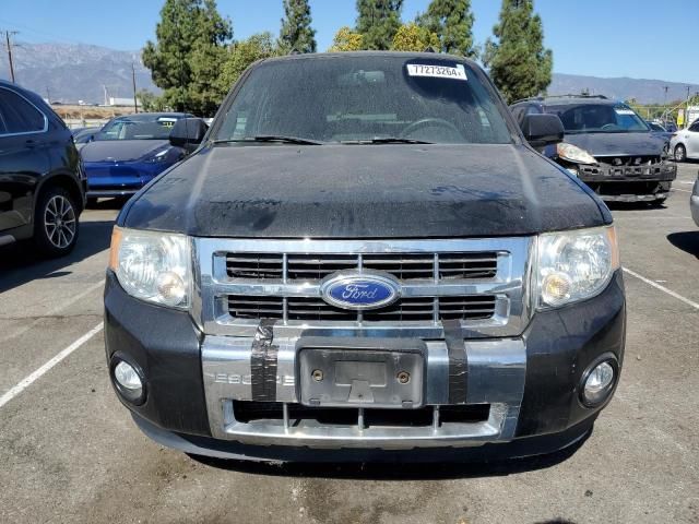 2011 Ford Escape Limited