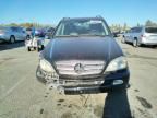 2003 Mercedes-Benz ML 350