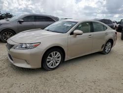 2014 Lexus ES 350 en venta en Arcadia, FL