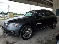 Audi q5 salvage cars for sale: 2016 Audi Q5 TDI Premium Plus