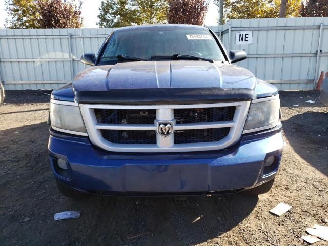 2009 Dodge Dakota SXT