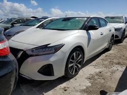 Nissan salvage cars for sale: 2021 Nissan Maxima SV