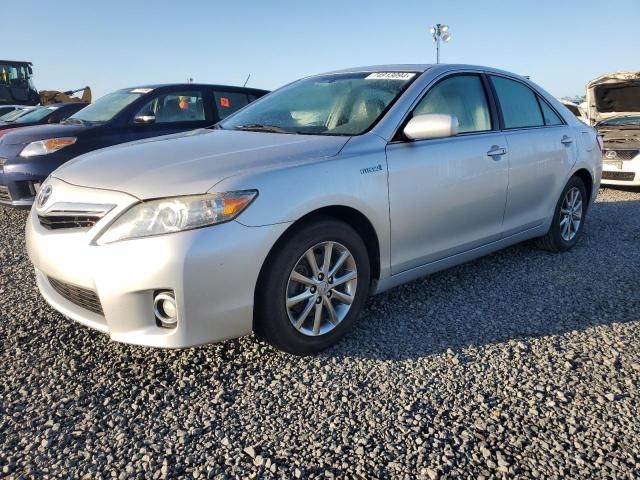 2010 Toyota Camry Hybrid