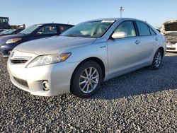 Salvage cars for sale at Midway, FL auction: 2010 Toyota Camry Hybrid