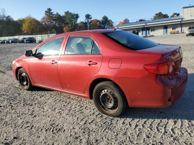 2010 Toyota Corolla Base