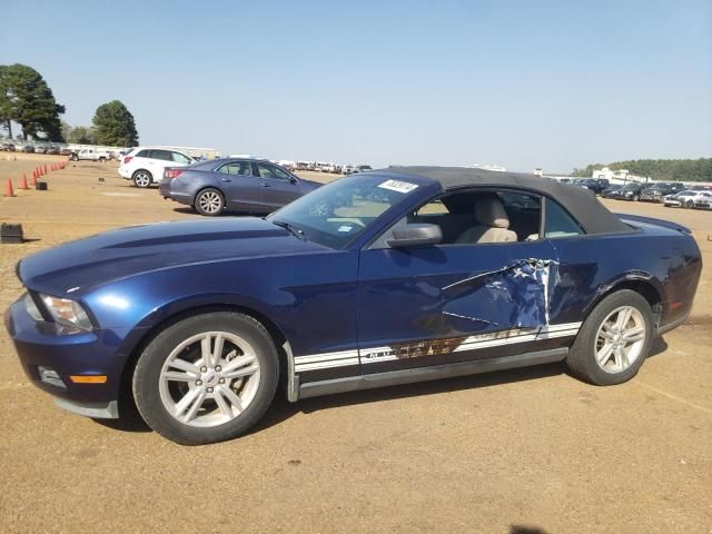 2010 Ford Mustang