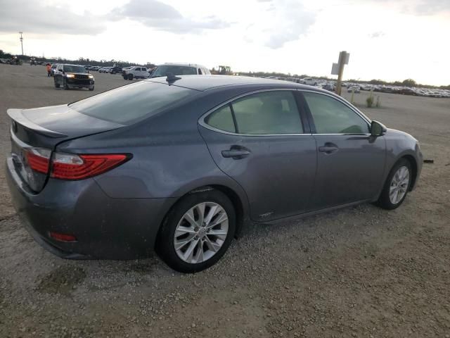 2013 Lexus ES 300H