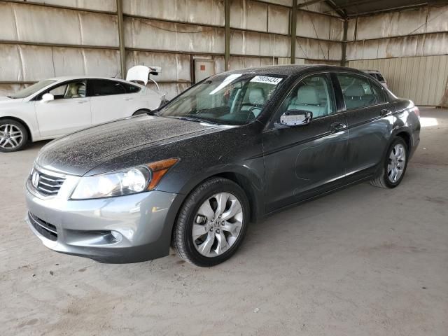 2010 Honda Accord EXL