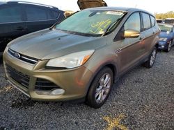 Salvage cars for sale at Riverview, FL auction: 2013 Ford Escape SEL