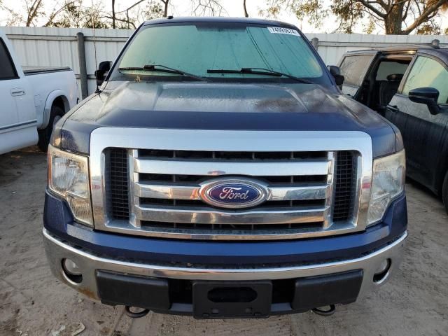 2010 Ford F150