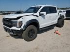 2024 Ford F150 Raptor