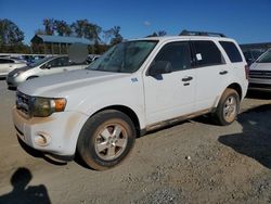 Ford salvage cars for sale: 2009 Ford Escape XLT