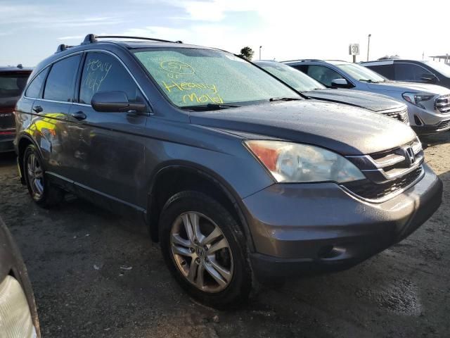 2010 Honda CR-V EXL