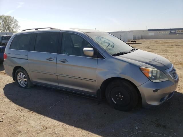 2009 Honda Odyssey EXL