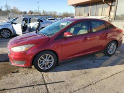 Ford salvage cars for sale: 2016 Ford Focus SE