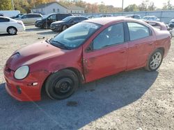 Dodge Vehiculos salvage en venta: 2004 Dodge Neon SRT-4