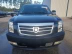 2009 Cadillac Escalade Luxury