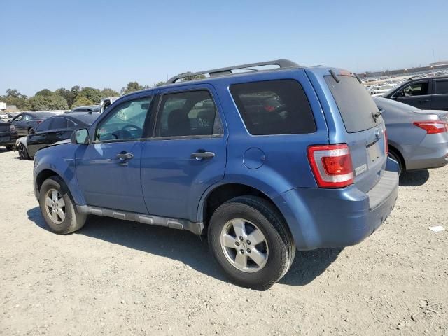 2010 Ford Escape XLT