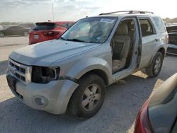 Salvage cars for sale from Copart San Antonio, TX: 2008 Ford Escape XLT