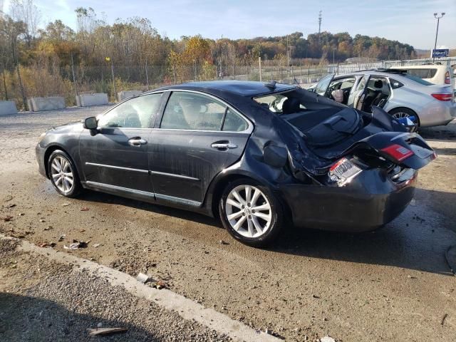 2011 Lexus ES 350