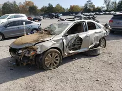 Salvage cars for sale at Madisonville, TN auction: 2017 Toyota Camry LE