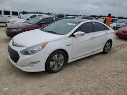 Salvage cars for sale at Arcadia, FL auction: 2015 Hyundai Sonata Hybrid