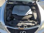 2008 Lexus LS 460