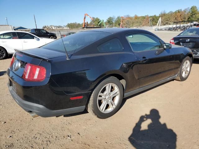 2010 Ford Mustang