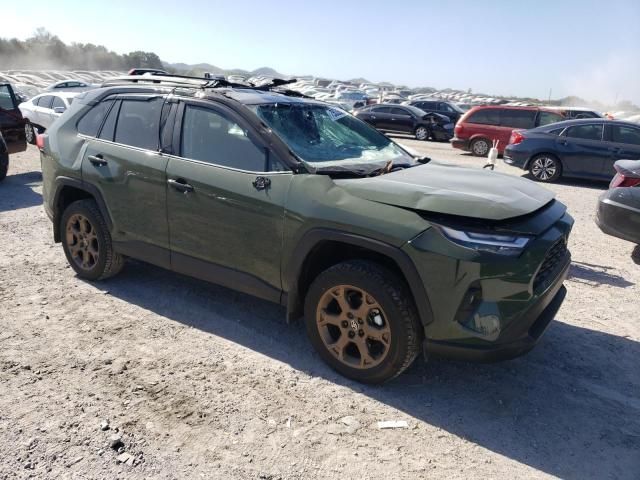 2024 Toyota Rav4 Woodland Edition