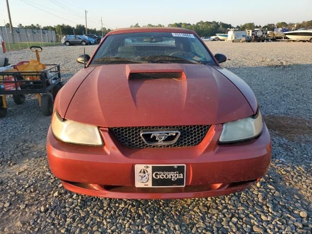 2000 Ford Mustang GT