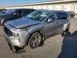 Salvage cars for sale at auction: 2023 Hyundai Santa FE SEL