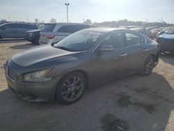 Salvage cars for sale at Indianapolis, IN auction: 2014 Nissan Maxima S