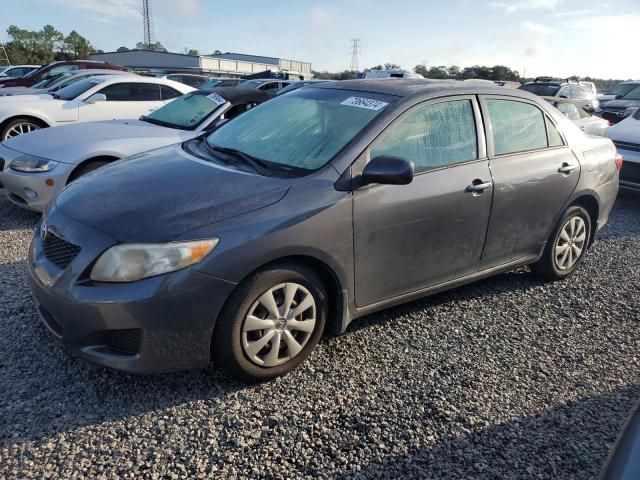 2010 Toyota Corolla Base