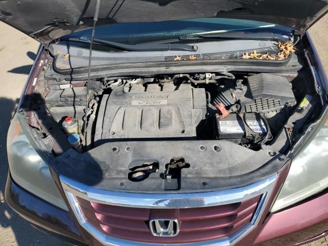 2008 Honda Odyssey EXL