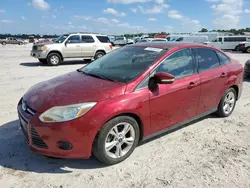 Ford salvage cars for sale: 2014 Ford Focus SE