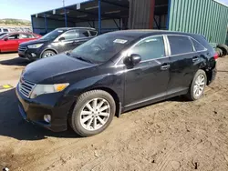 Toyota Venza salvage cars for sale: 2010 Toyota Venza