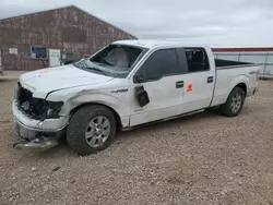 Salvage cars for sale at Rapid City, SD auction: 2012 Ford F150 Supercrew