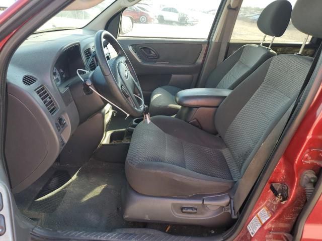 2004 Ford Escape XLT