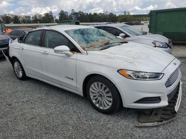 2013 Ford Fusion SE Hybrid