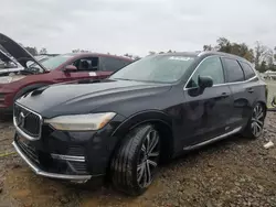 Volvo xc60 Ultim salvage cars for sale: 2023 Volvo XC60 Ultimate