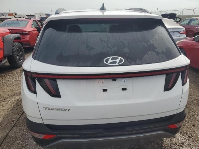 2024 Hyundai Tucson Limited