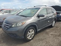 Compre carros salvage a la venta ahora en subasta: 2014 Honda CR-V EXL